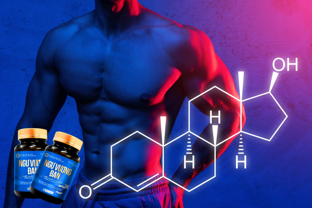 Testosterone là gì? Vai trò của Testoterone đối với sức khỏe nam giới
