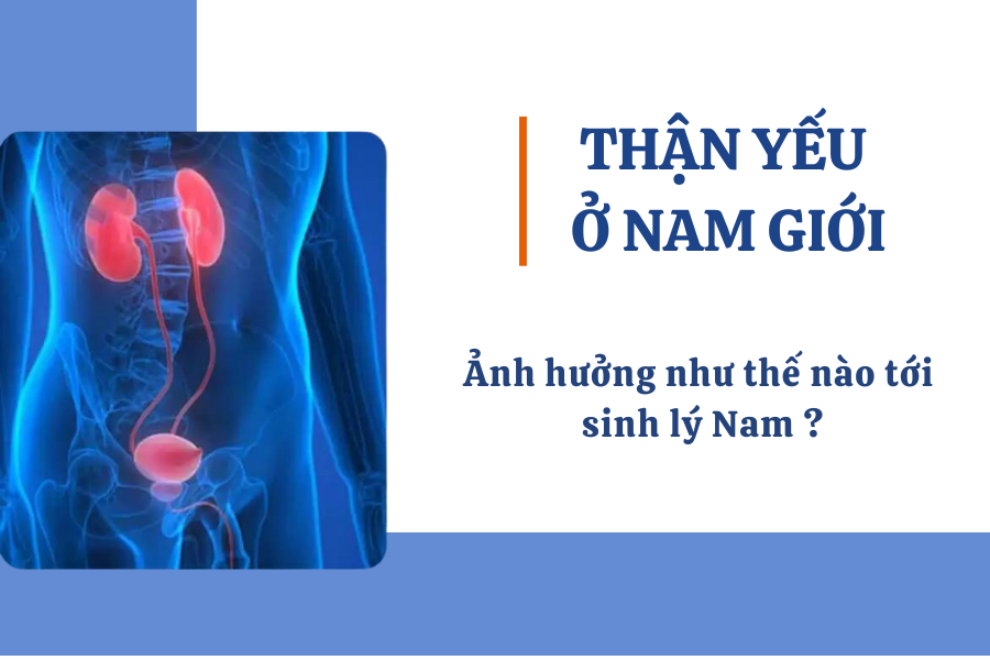 BỆNH THẬN LÀ GÌ? MỘT SỐ TRIỆU CHỨNG CỦA BỆNH THẬN VÀ CÁCH ĐIỀU TRỊ