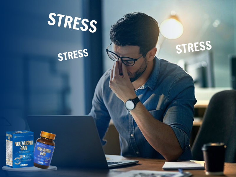 Stress có ảnh hưởng đến chức năng sinh lý Nam giới?