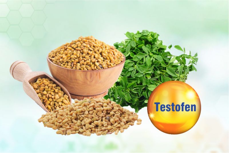 Testofen từ cỏ cà ri có gì tốt?