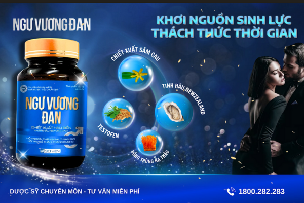 Mua Ngự Vương Đan ở đâu uy tín?