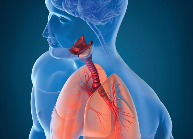 Bệnh lý hô hấp nguyên nhân tác động đến sức khỏe sinh lý Nam